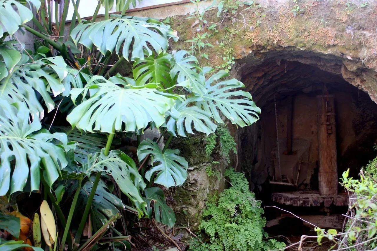 Molino Maroto Casa Rural Villa Alhaurin el Grande Country house